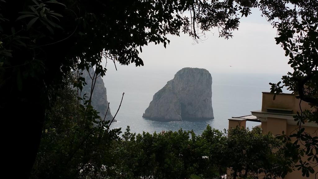La Casetta Capri Rum bild